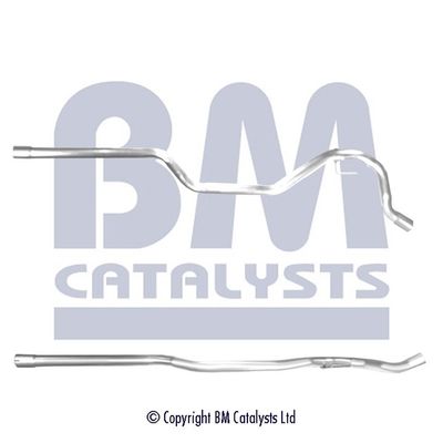 BM CATALYSTS išleidimo kolektorius BM50399